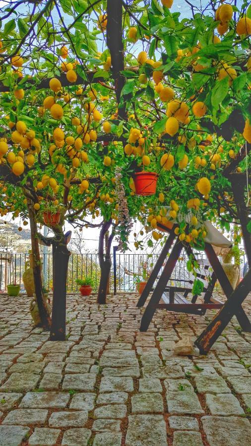 Il Limoneto Degli Angeli Villa Minori Kültér fotó