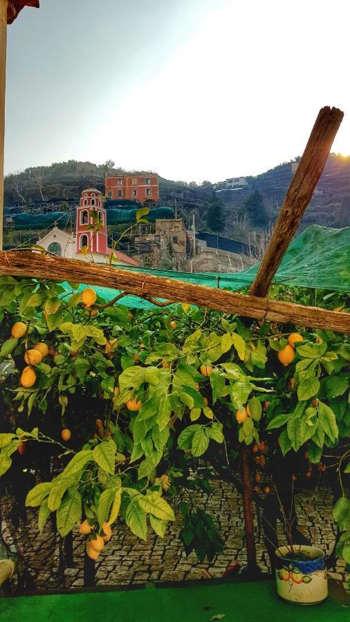 Il Limoneto Degli Angeli Villa Minori Kültér fotó