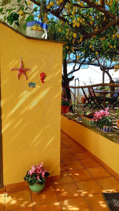Il Limoneto Degli Angeli Villa Minori Kültér fotó