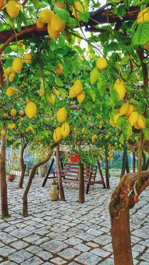 Il Limoneto Degli Angeli Villa Minori Kültér fotó
