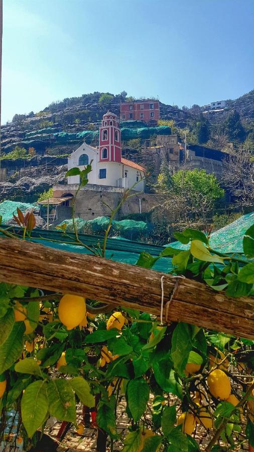 Il Limoneto Degli Angeli Villa Minori Kültér fotó