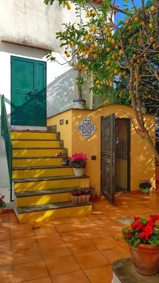 Il Limoneto Degli Angeli Villa Minori Kültér fotó