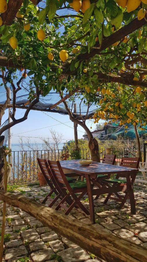 Il Limoneto Degli Angeli Villa Minori Kültér fotó