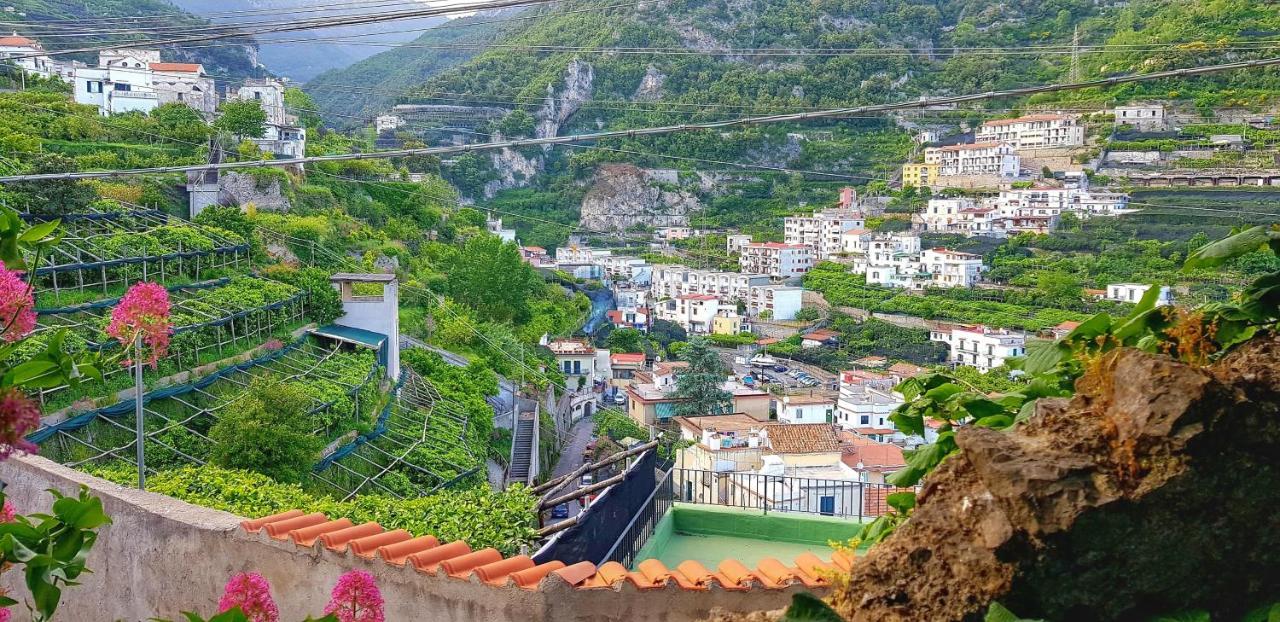Il Limoneto Degli Angeli Villa Minori Kültér fotó