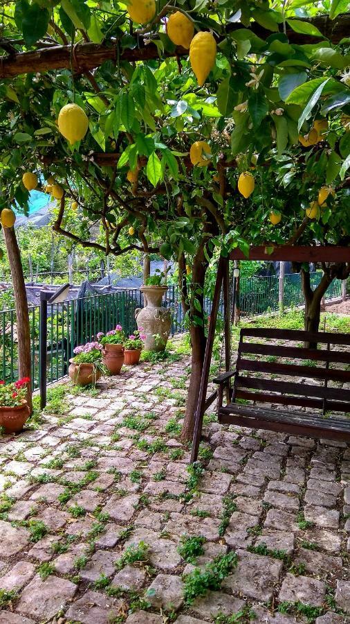Il Limoneto Degli Angeli Villa Minori Kültér fotó